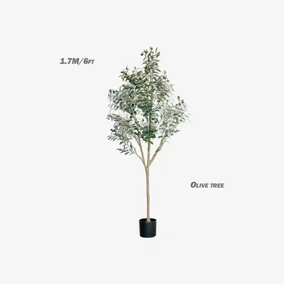 The Range Faux Olive Tree - Green