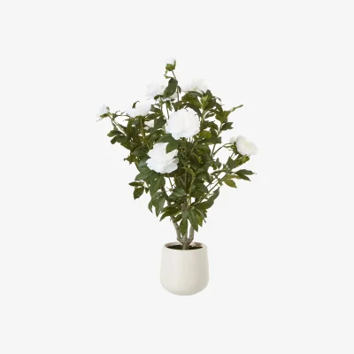 The Range Extra Large Pink Hydrangea Artificial Plant in Pot - White