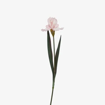The Range Hill Interiors The Natural Garden Collection Fringed Iris Artificial Flower - Pale Pink