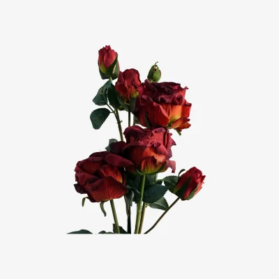 The Range Artificial Rose Flower Bundle 60cm Bare Stem Bouquet Decor - Red