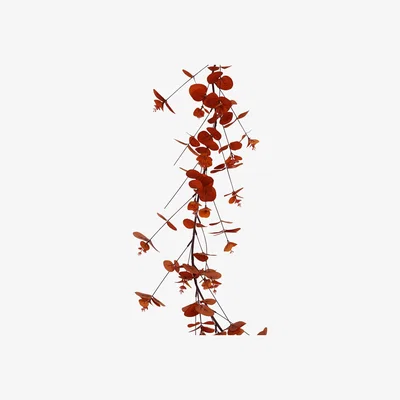 The Range Amber Eucalyptus Garland - Orange