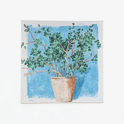 The Range Kathryn White Gold Edged Potted Plant Canvas - Blue