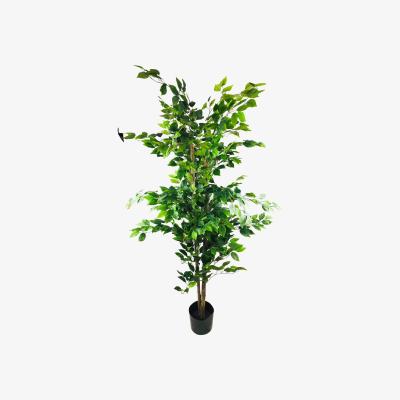 The Range Artificial Ficus Trees in Pots - Green