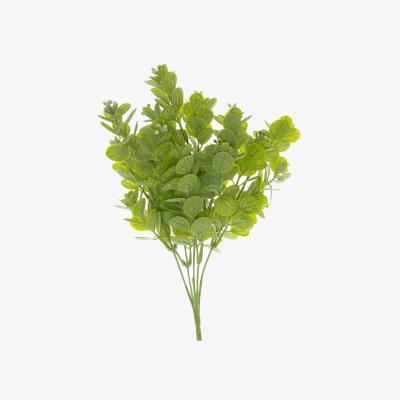 The Range Spring Herb Greenery Bunch - Green