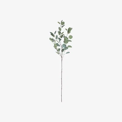 The Range Single Eucalyptus Silver Dollar Stem 90 cm - Green