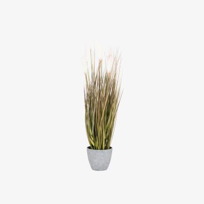 The Range Artificial Blush Pampas Grass in Pot - 91cm