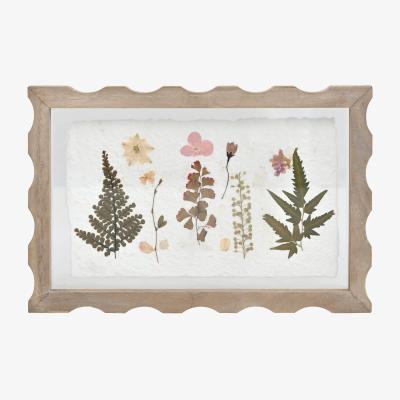 The Range Botanical Dried Flowers Scalloped Art - White