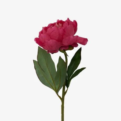 The Range Fiori Fuchsia Peony Flower Stem - Pink