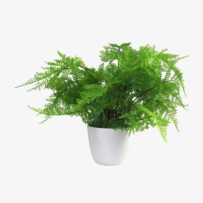 The Range Artificial Potted Lady Fern (Athyrium Filix-Femina) - Green