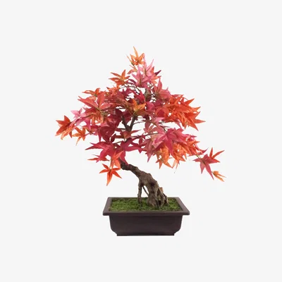The Range Artificial Red Maple Bonsai Tree - Red