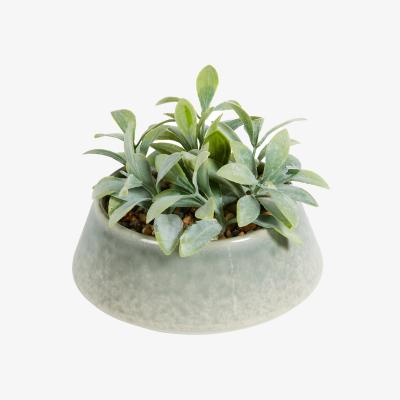 The Range Faux Senecio in Reactive Glaze Pot - Green
