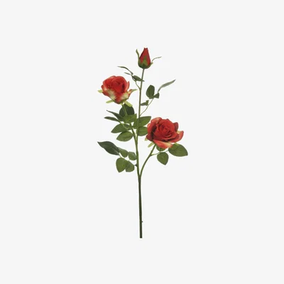 The Range Serenity Rose - Red