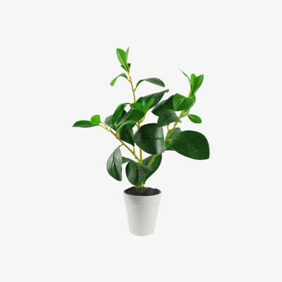 The Range Artificial Mini Desktop Plant - Green