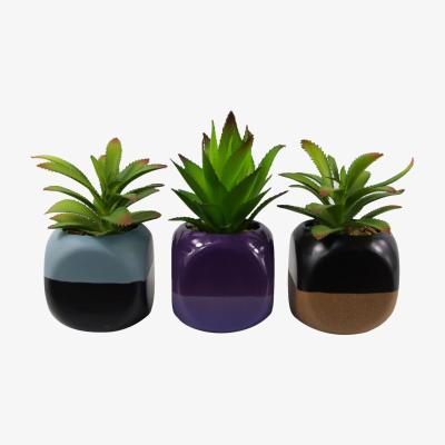 The Range Set of Three Mini Ceramic Cube Planters Artificial Succulent Plants - Green