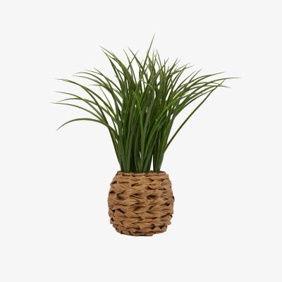 The Range Grass in Water Hyacinth Basket - Green
