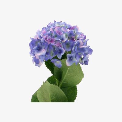 The Range Artificial Silk Hydrangea Single Stem - Blue