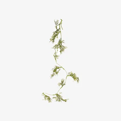 The Range Gypsophila Spray - Green