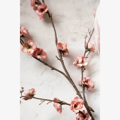 Rockett St George Pretty Faux Cherry Blossom Stem in Pale Pink