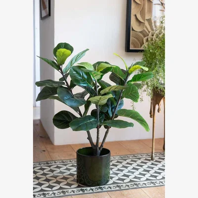 Rockett St George Beautiful Faux Fig Artifical Plant