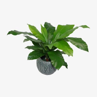 The Range Bushy Large Artificial Bird's Nest Fern Plant - Green