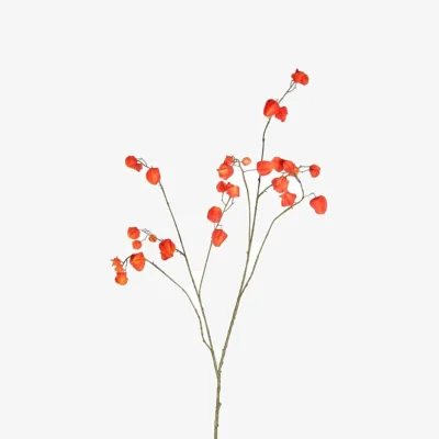 The Range Botanica Orange Fruit Branch Artificial Flowers Orange - Orange