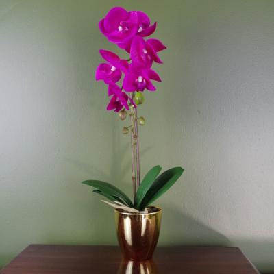 The Range Artificial Orchid Dark Pink  Gold - Pink
