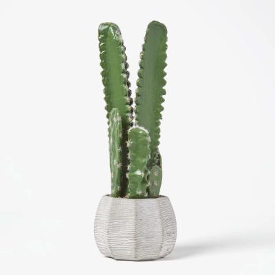 The Range Homescapes Echinopsis Peruviana Artificial Cactus In Decorative Stone Pot - Green