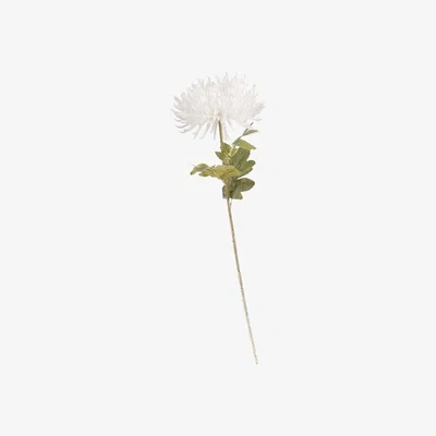 The Range Fuji Mum Stem - White