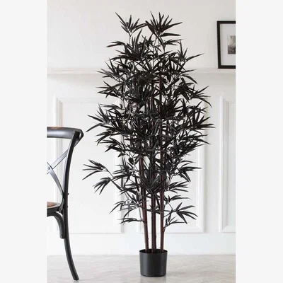 Rockett St George Black Faux Bamboo Plant