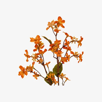The Range Hill Interiors Vernicia Fordii Artificial Flower Spray - Orange