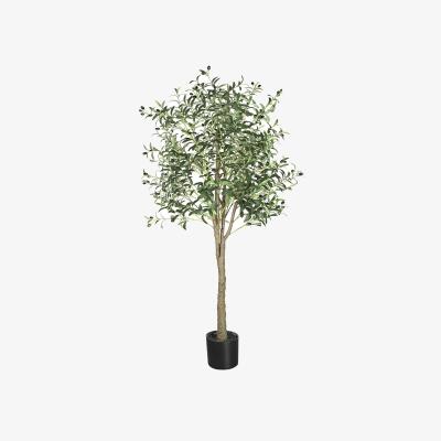 The Range 180cm Artificial Olive Tree with Lifelike Olive Leaves - Green