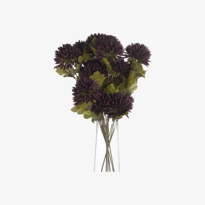 The Range Chocolate Chrysanthemum - Brown