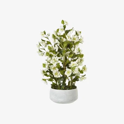 The Range Hill Interiors Hellebore Artificial Potted Plant - White/Grey / 1cm