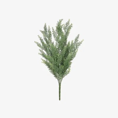 The Range UV Indoor, Outdoor Everlast Helichrysum Plant - Green