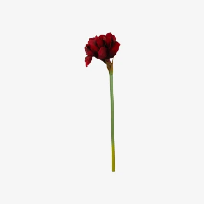 The Range Fiori Burgundy Amarylilis Flower Stem - Red
