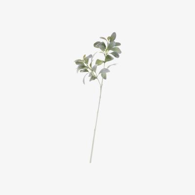 The Range Artificial Lambs Ear 70cm - Green
