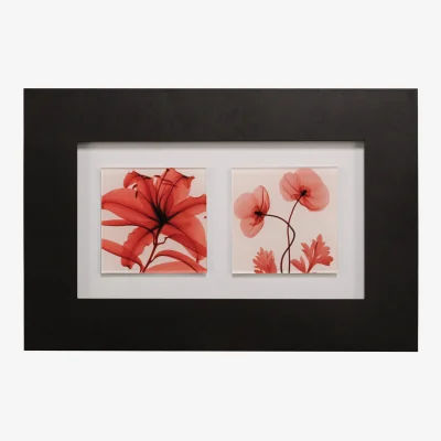 The Range Red Poppy Flowers Framed Wall Art - Multicolour
