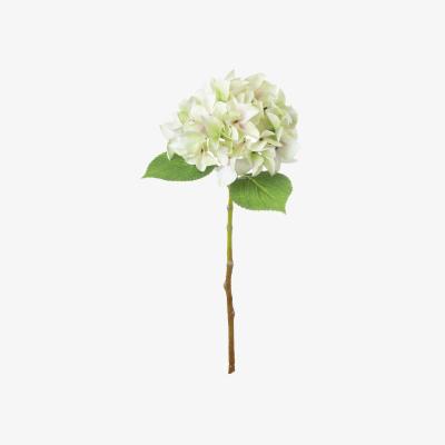 The Range Vintage Floral Accent Rustic Charm Single Hydrangea  - Green