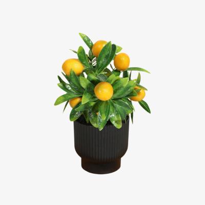 The Range Artificial Potted Lemon Tree - Green