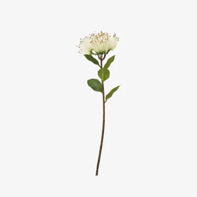 The Range 3 Pack Protea Nitida Artificial Flower Stems - Cream