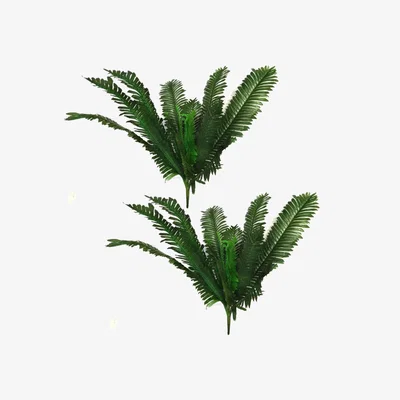 The Range Pack of 2 Faux Fern Bushes Plants - Green