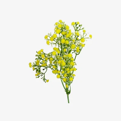 The Range Gypsophila Artificial Flowers Stem - gypsophila Yellow