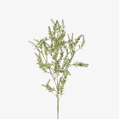 The Range Hill Interiors Broom Artificial Flower - Green