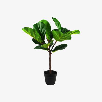 The Range Artificial Fiddle Fig Plant - Green