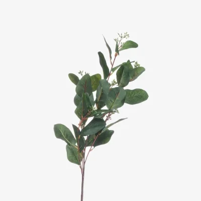 The Range Set of 3 Artificial Seeded Eucalyptus Stems - Green