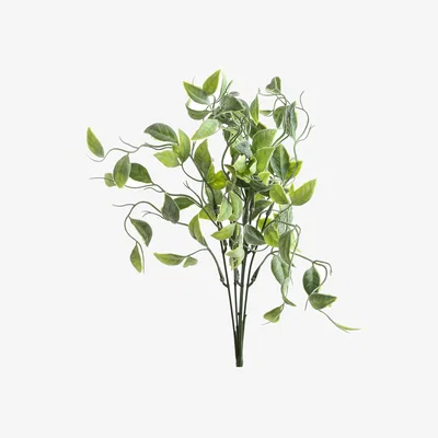The Range Fresh Foliage Shoots Greenery Bunch - Green