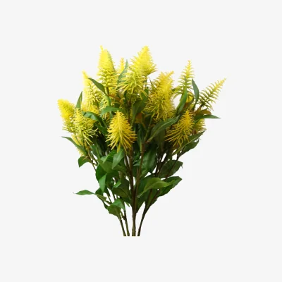 The Range Bunch of Callistemson Pallidus Yellow Bottle Brush Stems Flowers - Yellow Bottle Brush