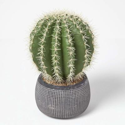 The Range Homescapes Golden Barrel Artificial Cactus in Textured Stone Grey Pot - Green