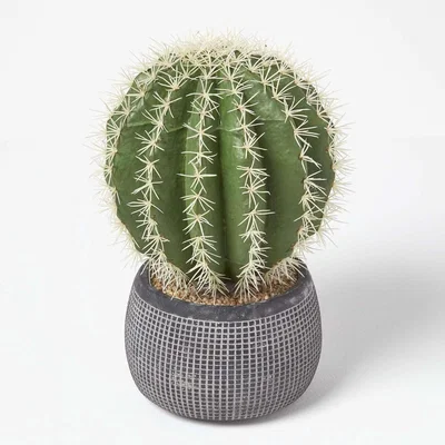 The Range Homescapes Golden Barrel Artificial Cactus in Textured Stone Grey Pot - Green