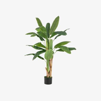 The Range 160cm Tall Bird of Paradise Artificial Plant - Green